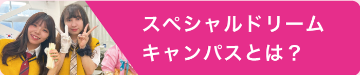 スペシャルドリームキャンパスとは？